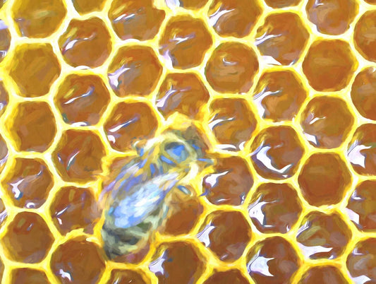 Embrace the Beauty of Bee and Honeycomb Geometric Art - That Bee Place