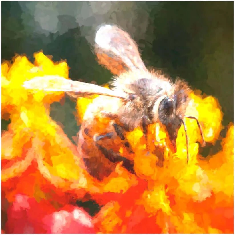 Abstract Bee Sipping - That Bee Place