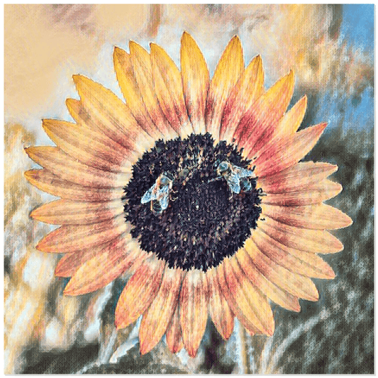2 Sunflower Painted Bees - Acrylic Print 12x12 inch Posters, Prints, & Visual Artwork Acrylic Prints Original Art