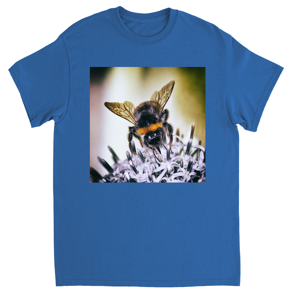Top of the Dangerous World Bee T-Shirt Royal