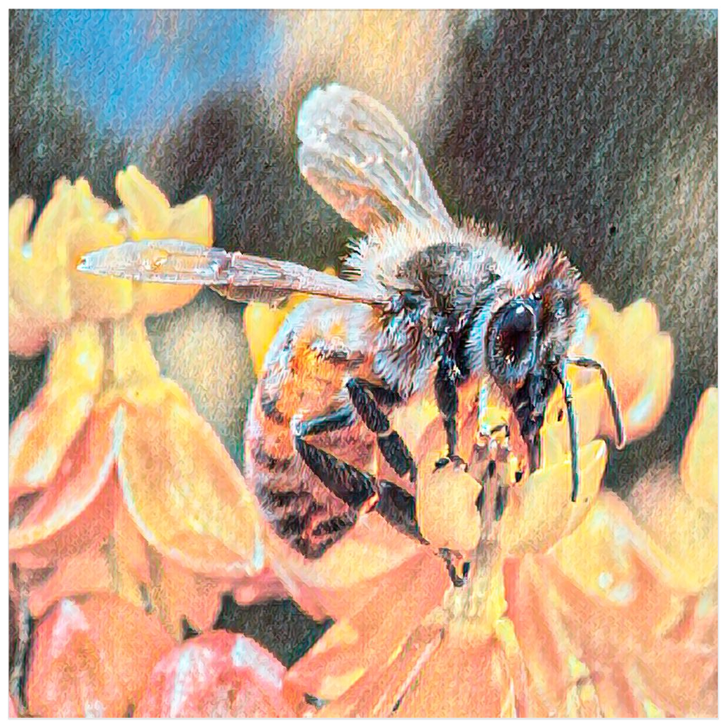 Watercolor Bee Sipping Poster 20x20 inch Posters, Prints, & Visual Artwork Poster Prints