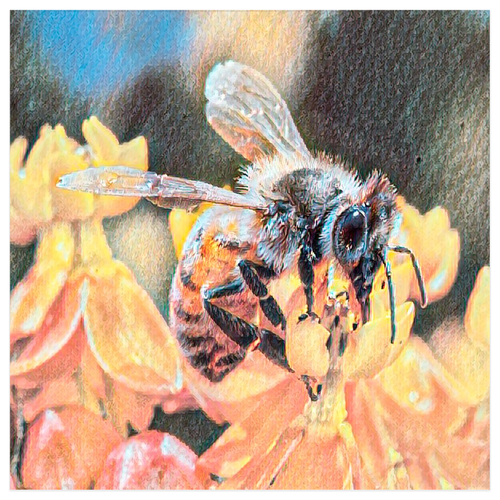 Watercolor Bee Sipping Poster 12x12 inch Posters, Prints, & Visual Artwork Poster Prints