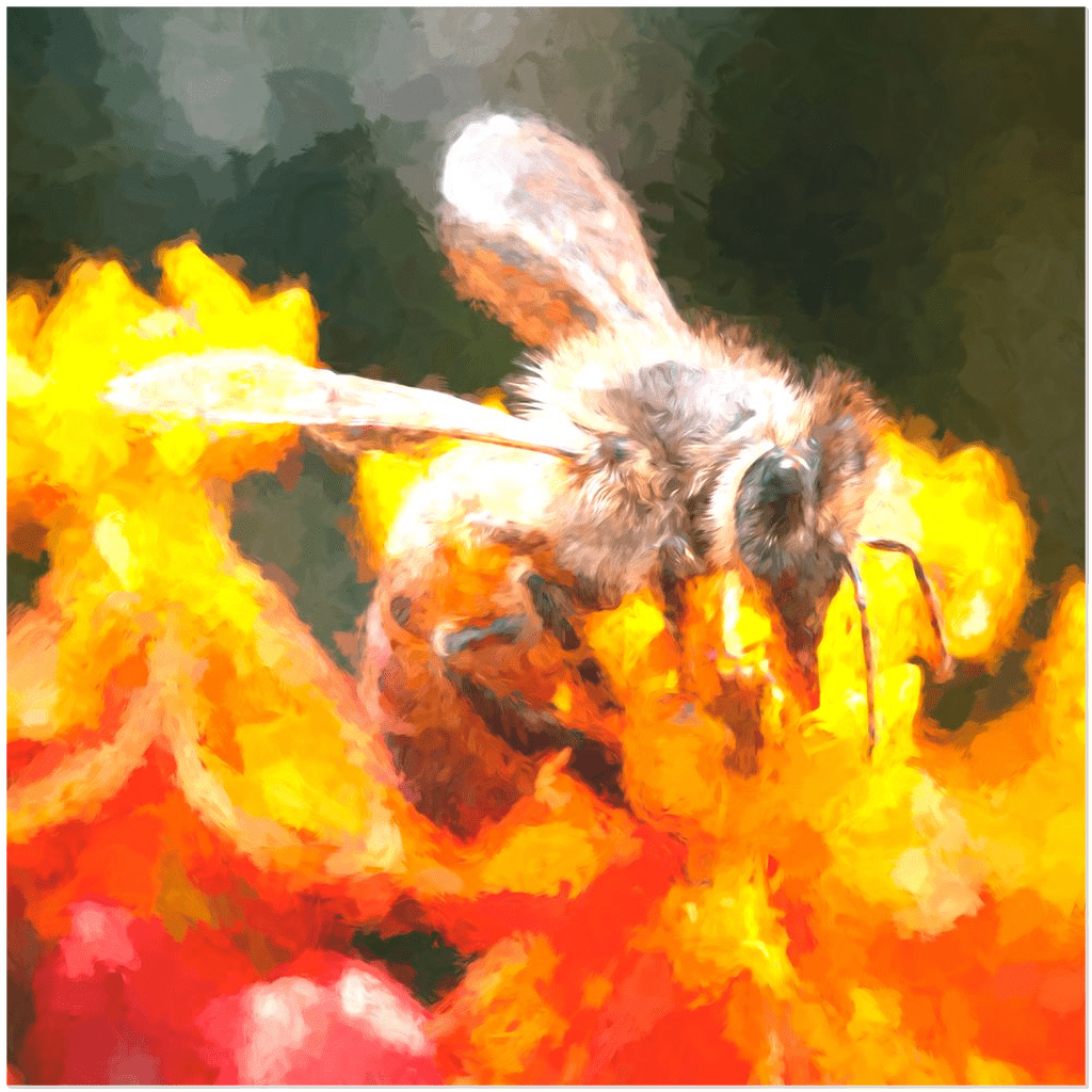 Abstract Bee Sipping - Acrylic Print 20x20 inch Posters, Prints, & Visual Artwork Acrylic Prints Original Art