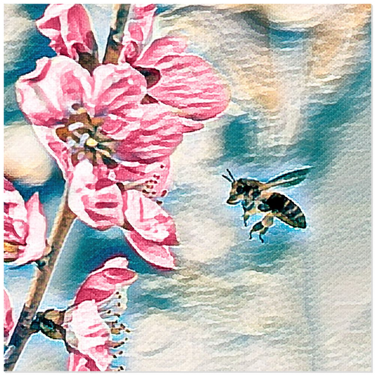 Pencil and Wash Bee with Flower - Acrylic Print 12x12 inch Posters, Prints, & Visual Artwork Original Art