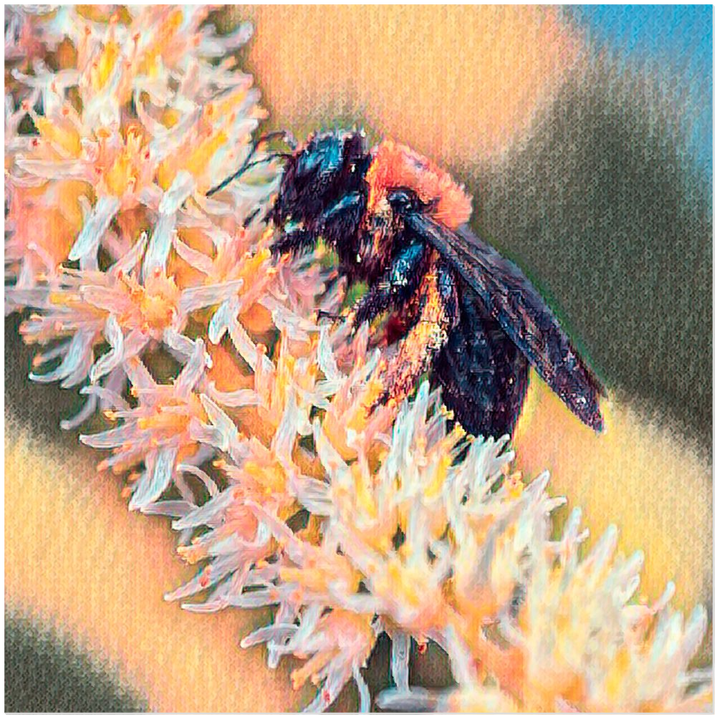 Muted Bee - Acrylic Print 20x20 inch Posters, Prints, & Visual Artwork Acrylic Prints Original Art
